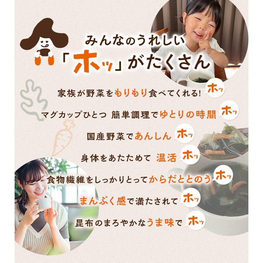 [大袋] 国産やさいと海藻をもりもり食べるホッ。とスープ 165g