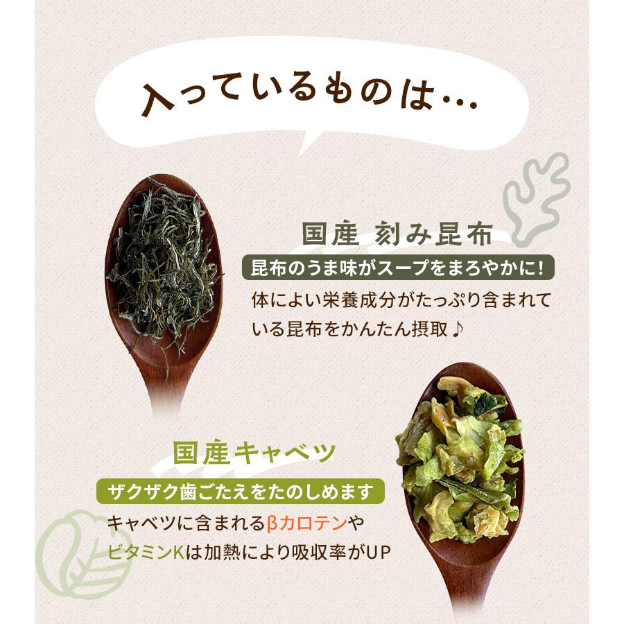[大袋] 国産やさいと海藻をもりもり食べるホッ。とスープ 165g