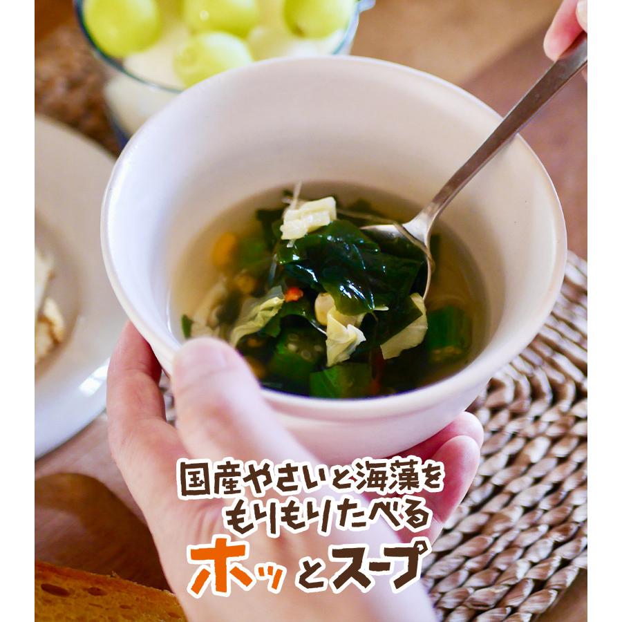 [大袋] 国産やさいと海藻をもりもり食べるホッ。とスープ 165g