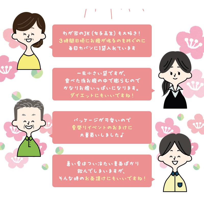 梅おやつ昆布 ホッペちゃん 6g×8袋
