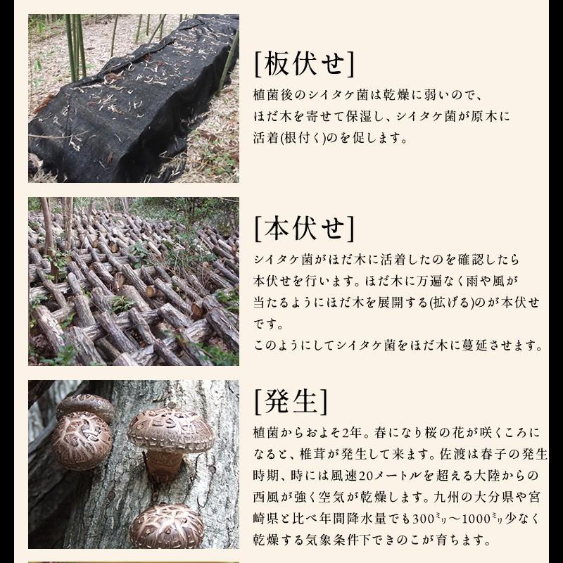 干し椎茸 国産 しいたけ 原木栽培 乾燥椎茸 原木しいたけ 60g 佐渡産 完全無農薬 肉厚 お取り寄せ 国産100％